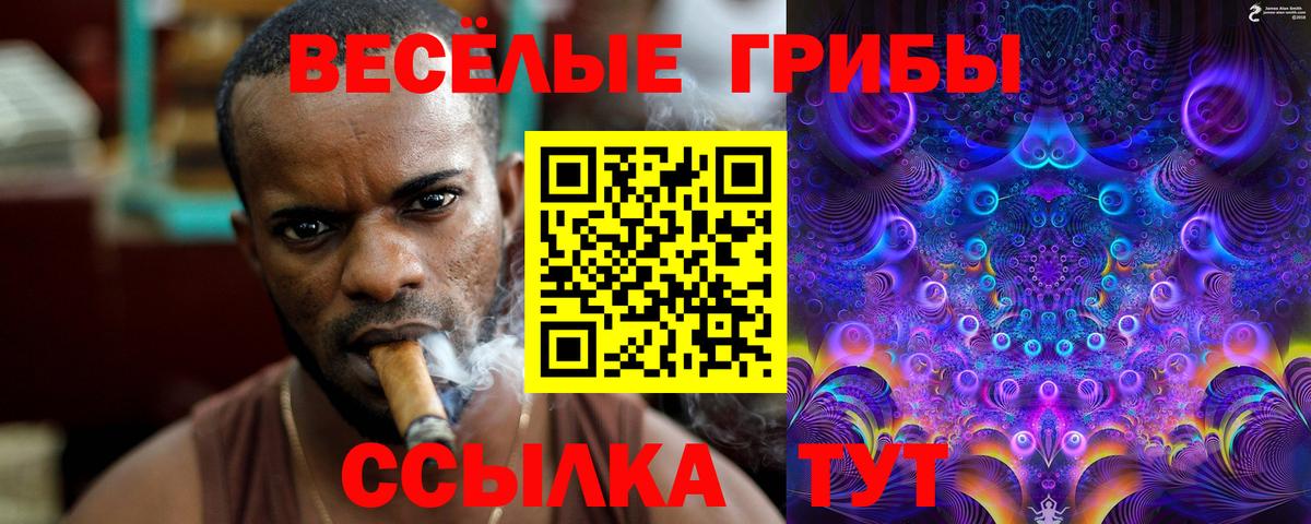 Псилоцибиновые грибы GOLDEN TEACHER  Вход с VPN  Солнечногорск  Псилоцибиновые грибы прущие грибы 